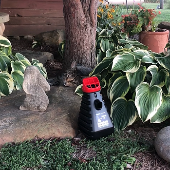 environmentally friendly and pest friendly mosquito control inzecto mosquito trap