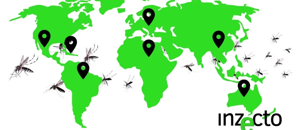 Role of Climate Change in the Rise of Mosquito Population