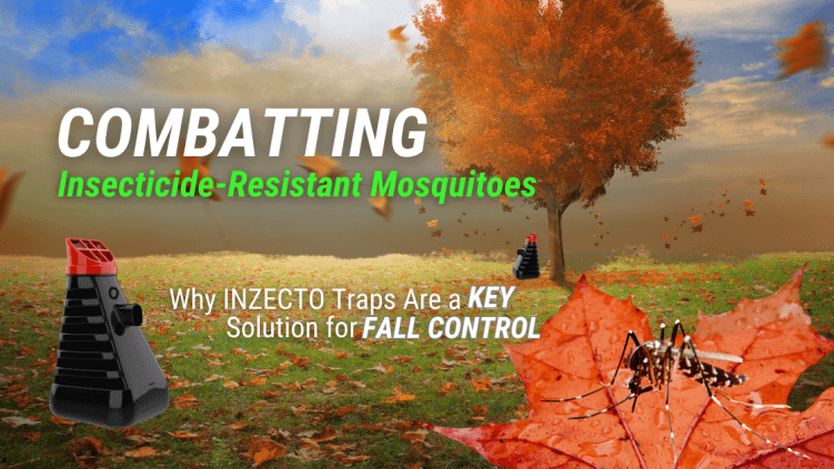 Combating Insecticide-Resistant Mosquitoes: Why INZECTO is a Key Solution for Fall Control