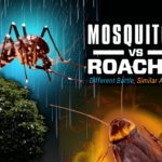 The Two “Titans” of Pest Control: Mosquitoes vs. Roaches and their Similar Control Methods