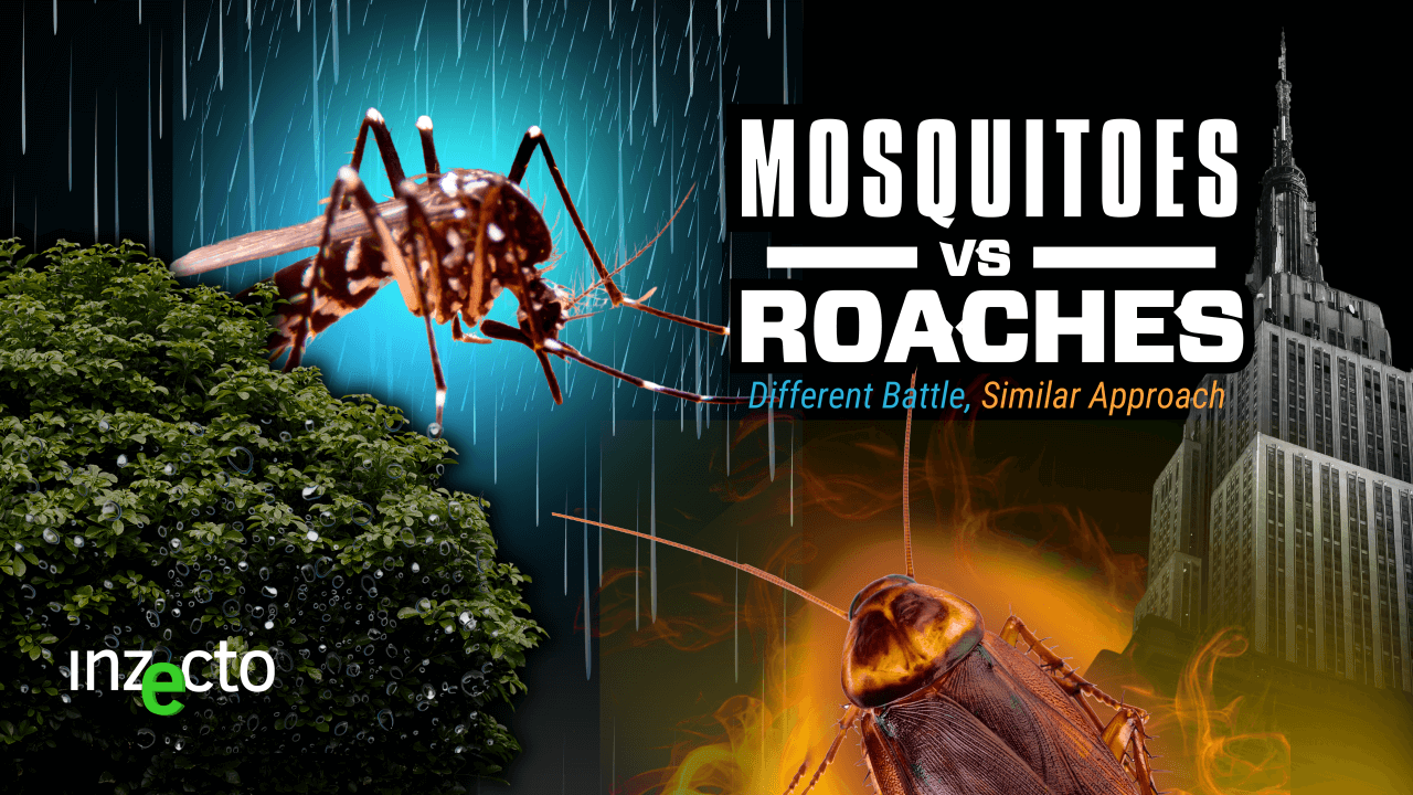 The Two “Titans” of Pest Control: Mosquitoes vs. Roaches and their Similar Control Methods