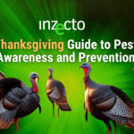 INZECTO Newsletter: Thanksgiving Edition