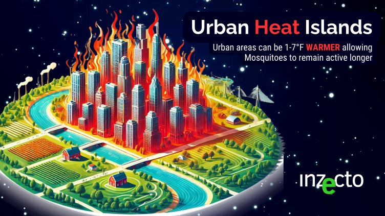 Urban Heat Islands: How Cities Create Mosquito-Friendly Microclimates