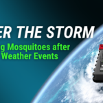 Managing Mosquito Populations After Extreme Weather Events: Strategic Control in a Challenging Landscape