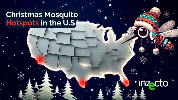 Christmas Mosquito Hotspots in the U.S.