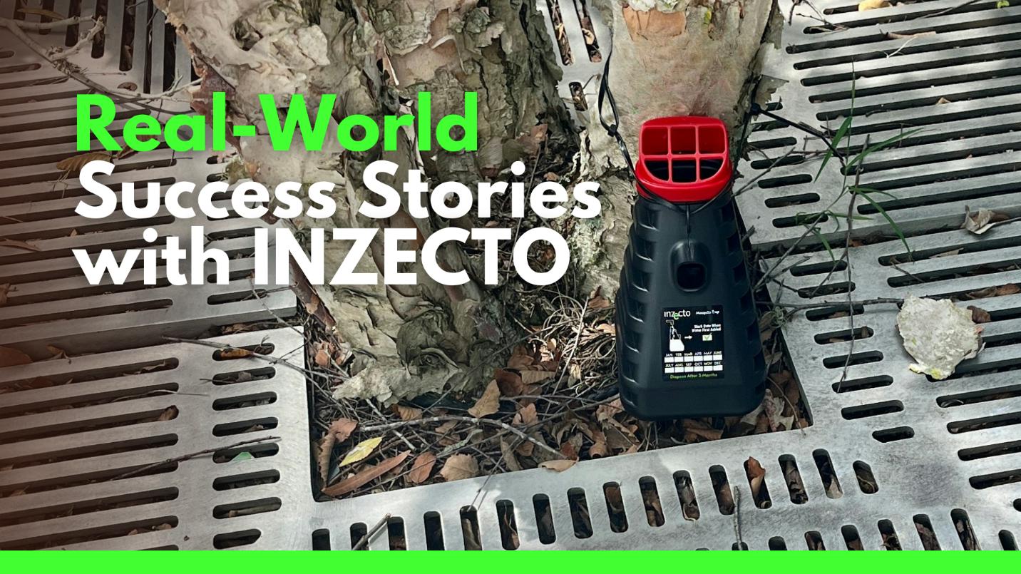 Real world seccess stories witgh INZECTO