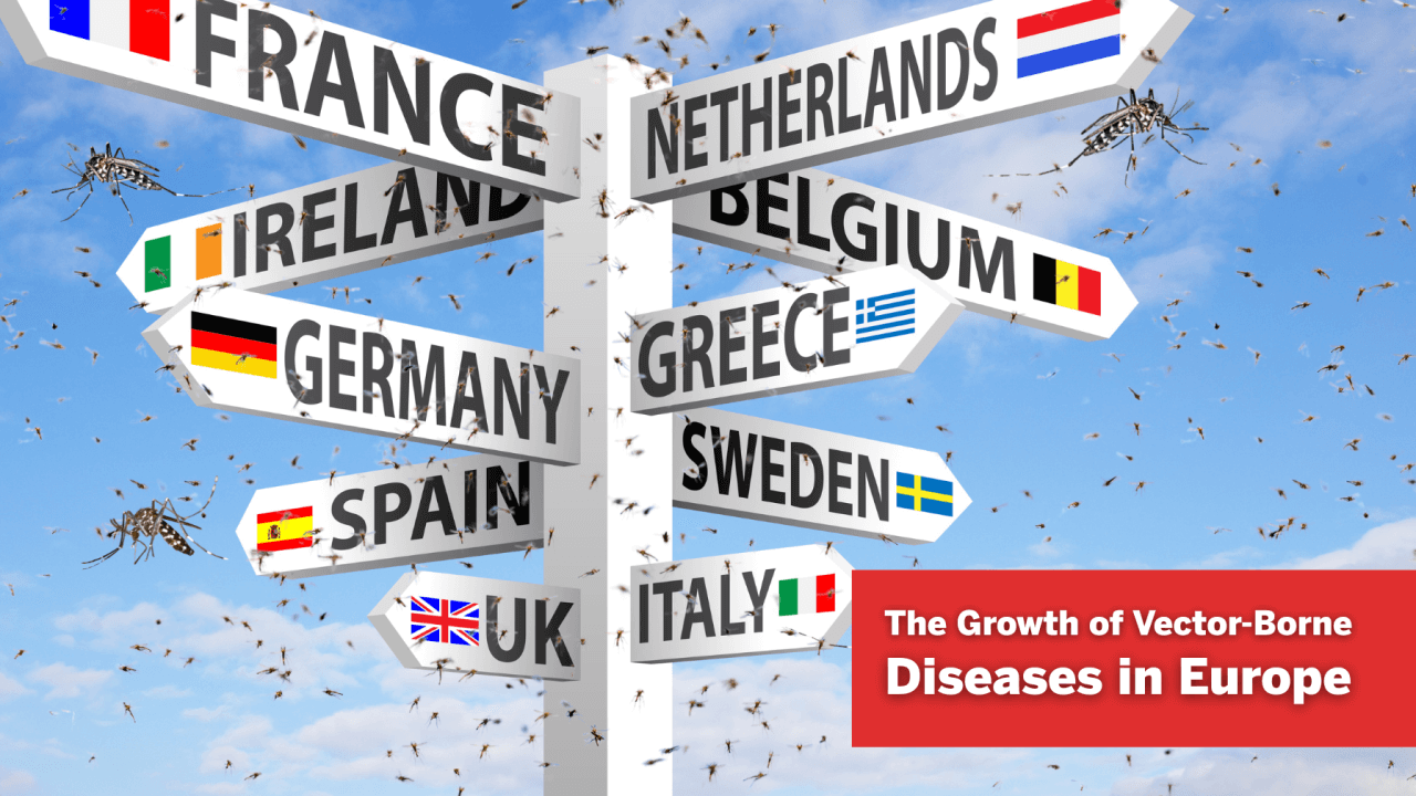 Growth of Insect Vector-Borne Diseases in Europe and the INZECTO Methodology for Urban Mosquito Control